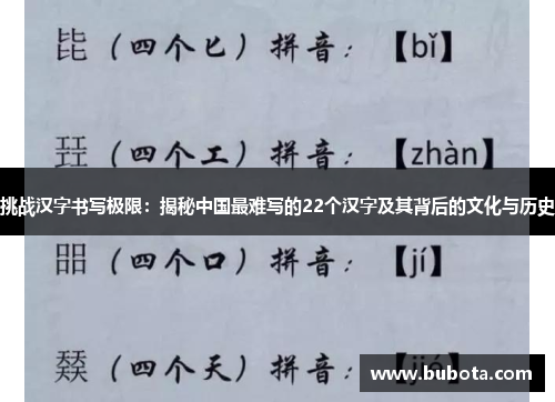 挑战汉字书写极限：揭秘中国最难写的22个汉字及其背后的文化与历史